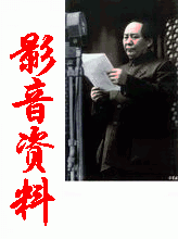 视听资料